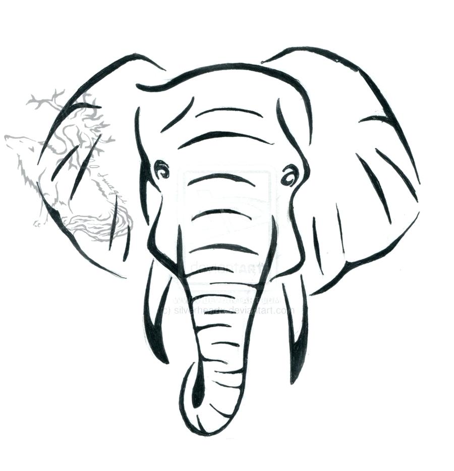 Elephant Simple Drawing Pics