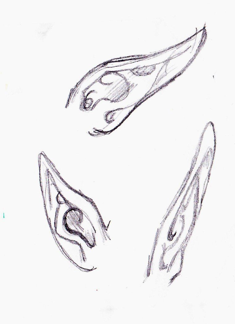 Elf Ear Drawing Image
