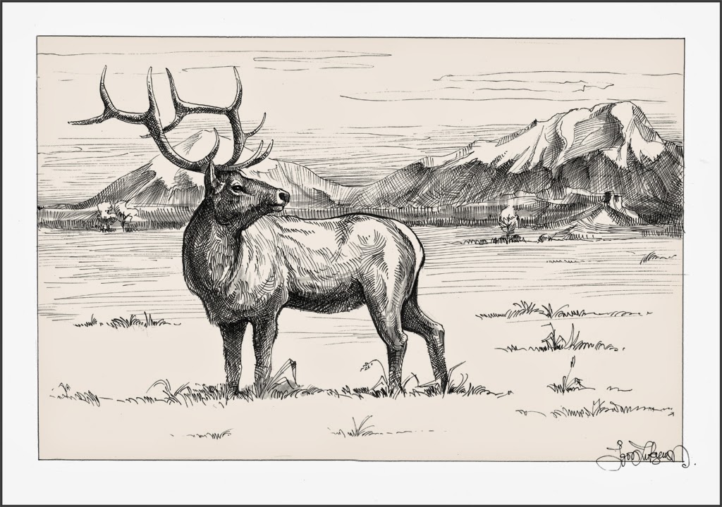 Elk Drawing High-Quality
