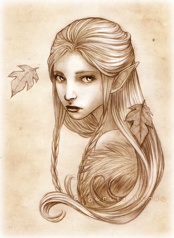 Elves Drawing Image