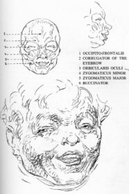 Emotion Drawing High Quality Drawing Skill