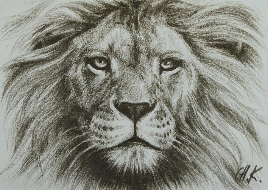 Face Lion Drawing Pic