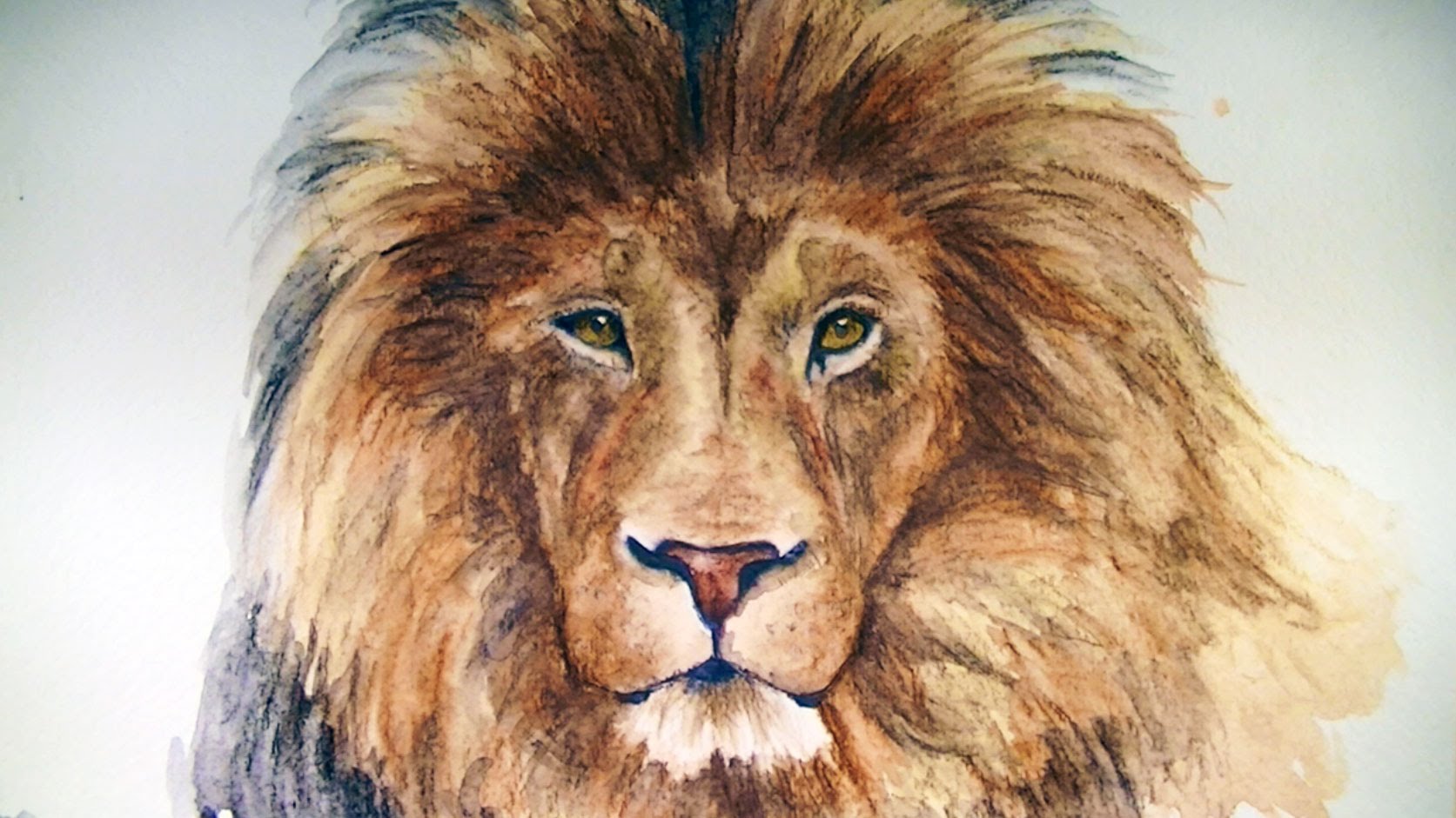 Face Lion Drawing Realistic