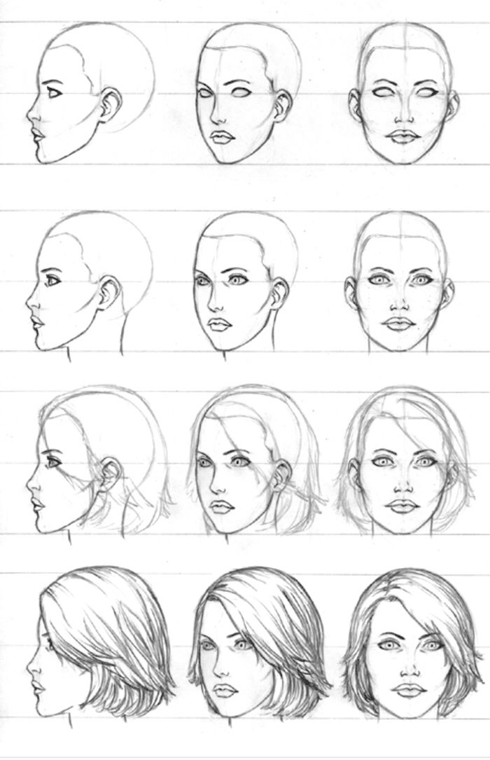 Face Profile Drawing High-Quality