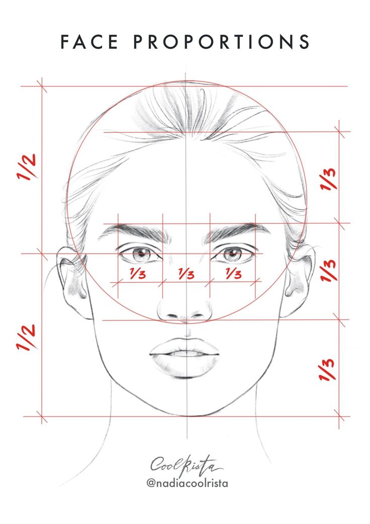Face Proportions Drawing Beautiful Image