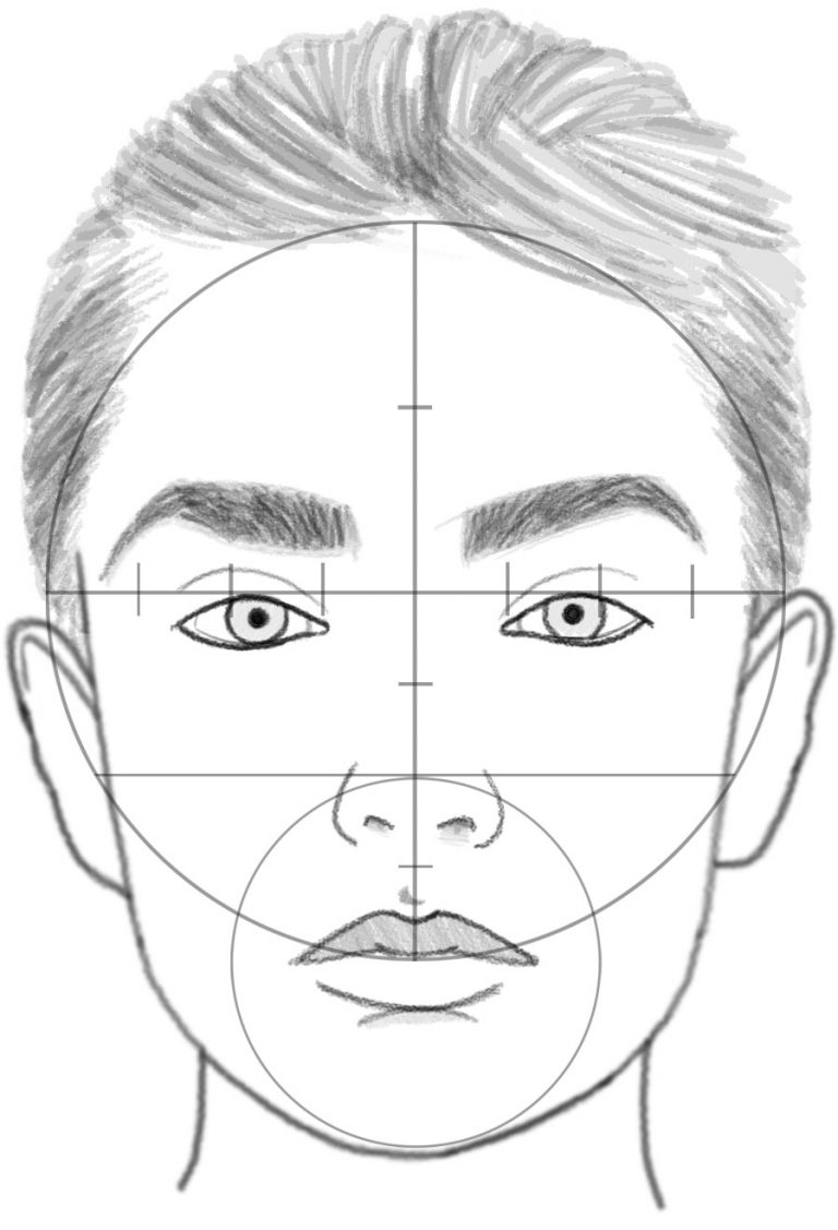 Face Proportions Drawing Pics