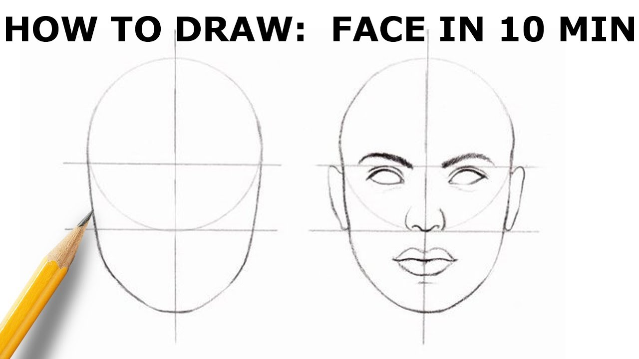 Face Proportions Drawing Sketch