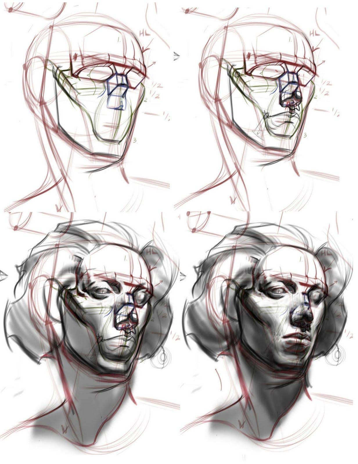 Face Reference Drawing