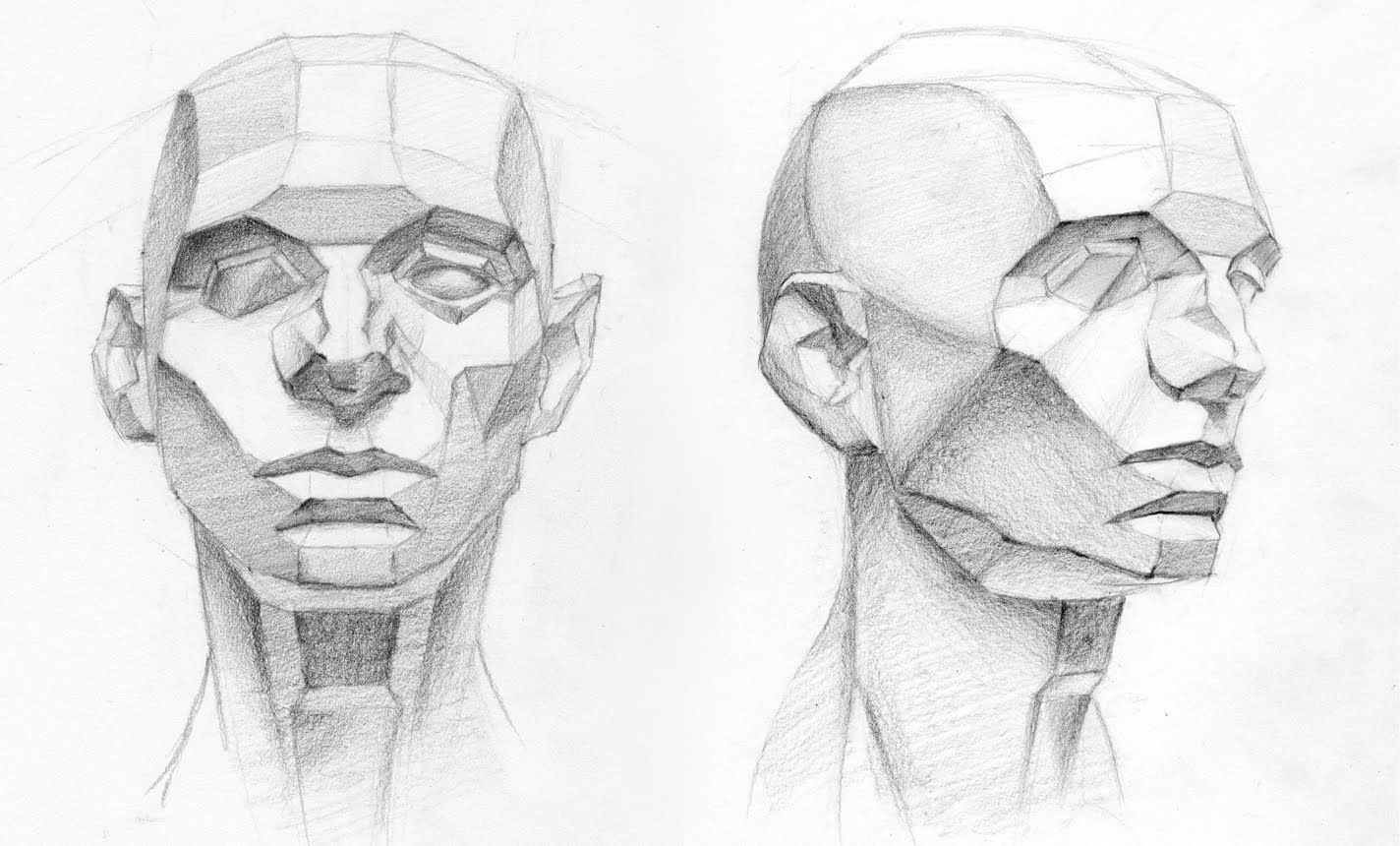 Facial Anatomy Drawing Pics