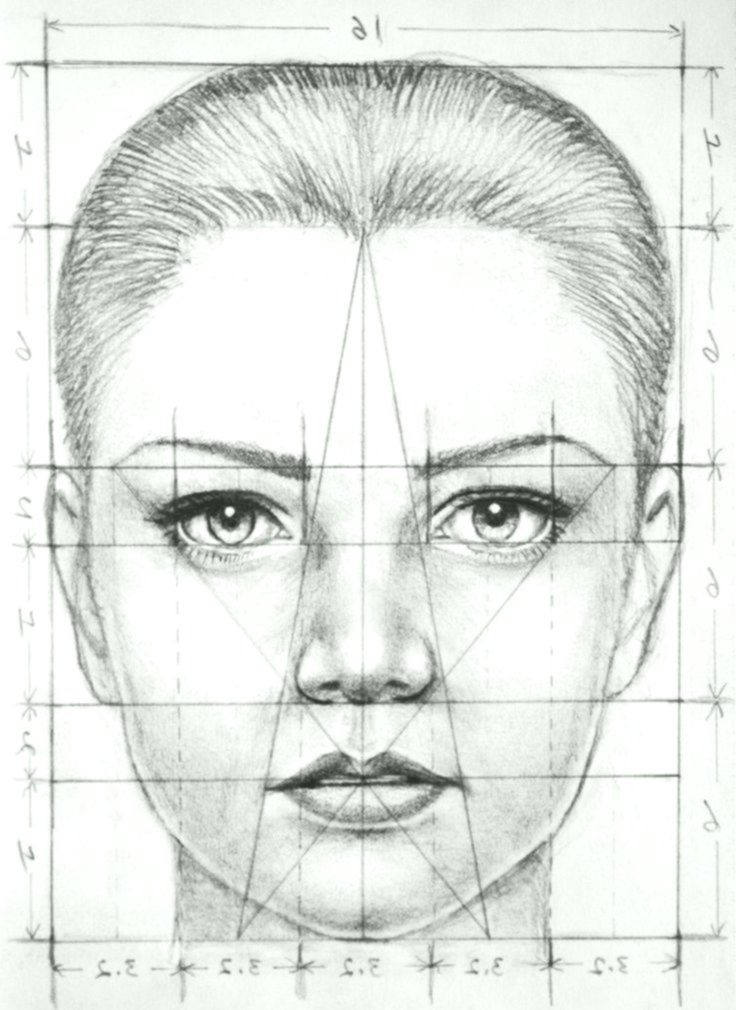 Facial Proportions Drawing Image