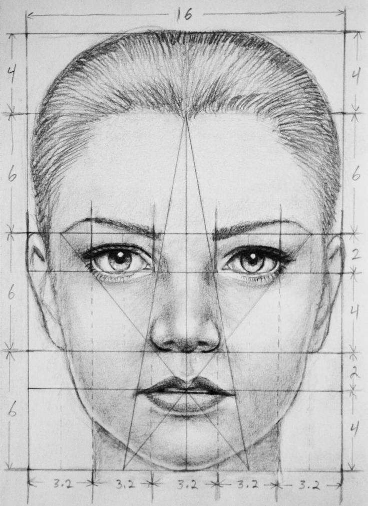 Facial Proportions Drawing Pic
