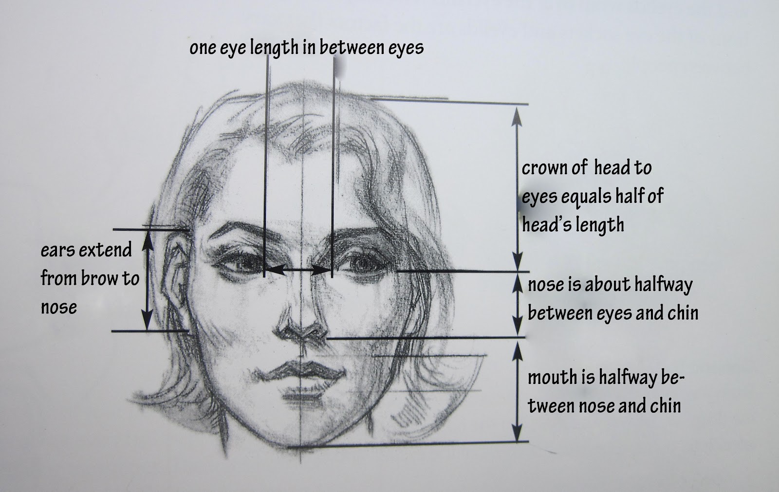 Facial Proportions Drawing Sketch