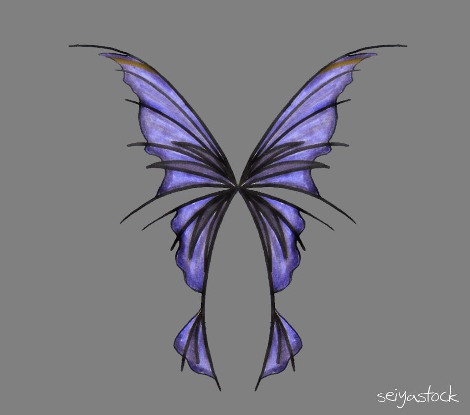 Fairy Wing Art Drawing