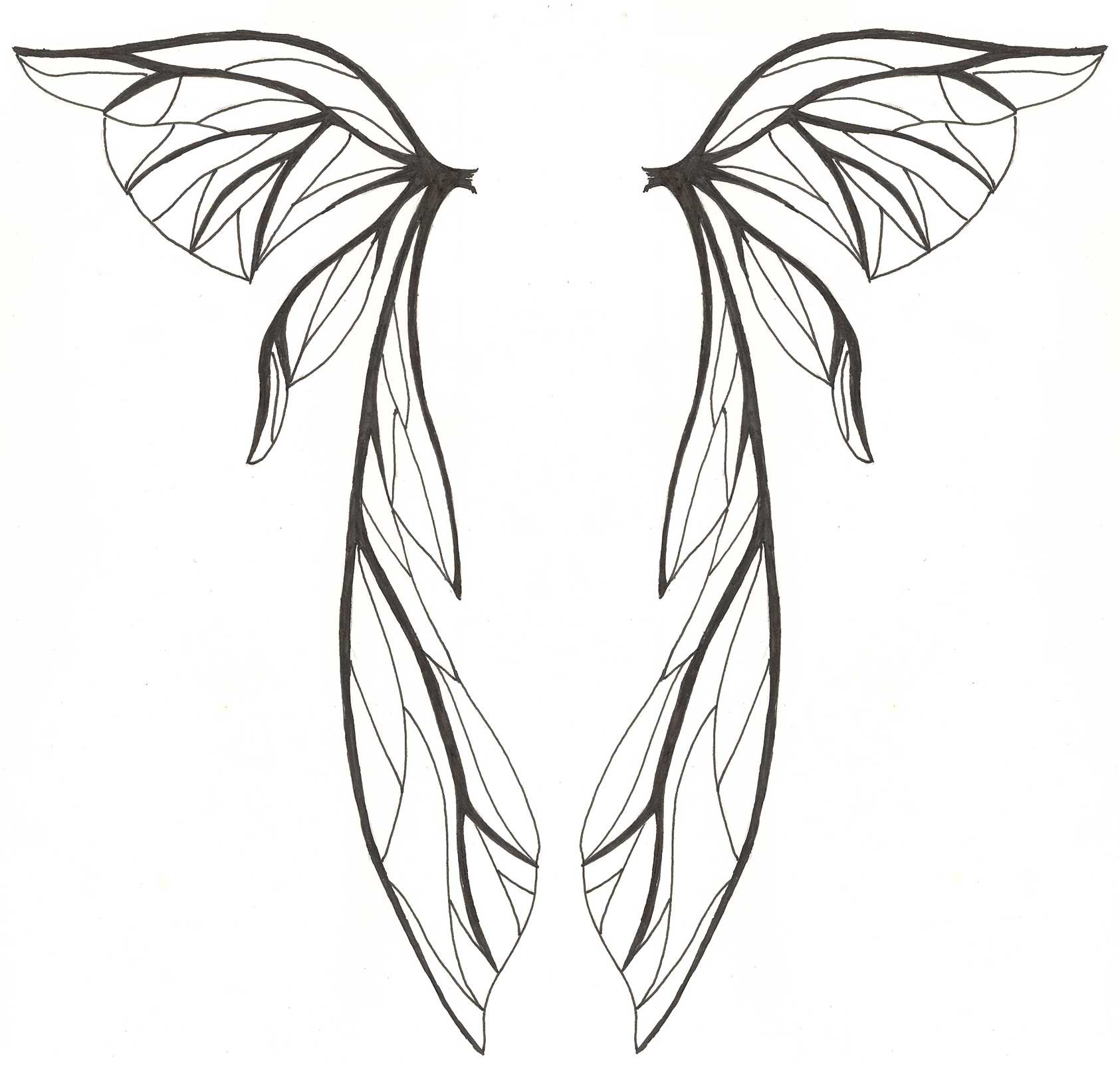 Fairy Wing Drawing High-Quality