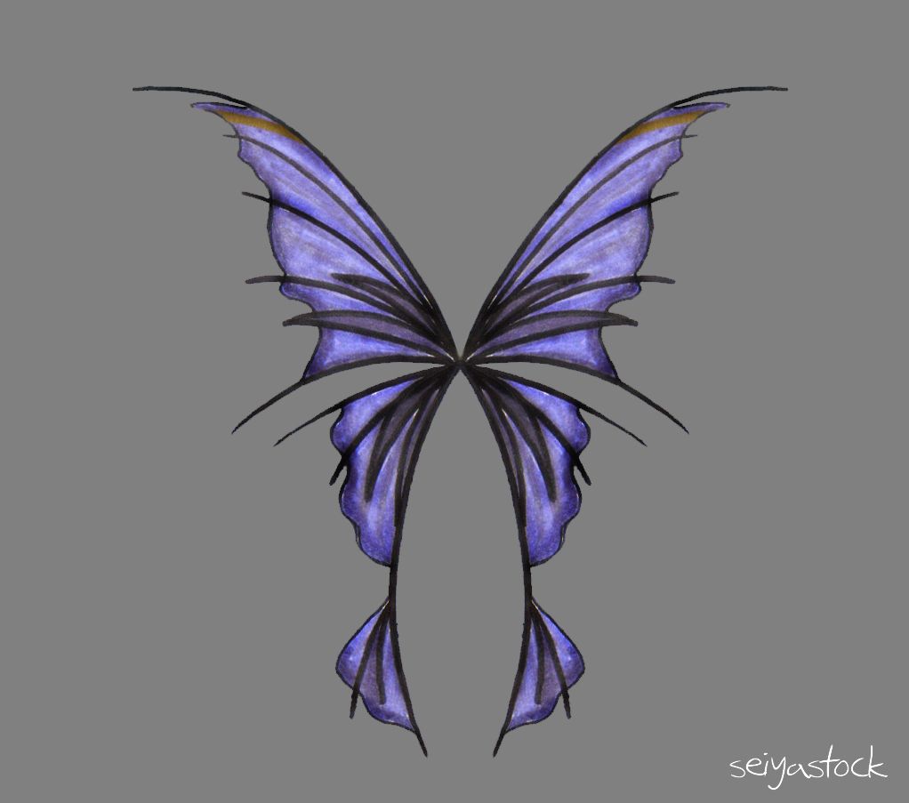 Fairy Wing Drawing Image