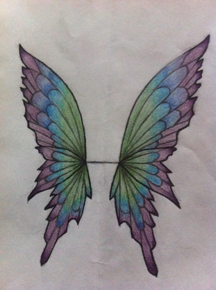 Fairy Wing Drawing Photo