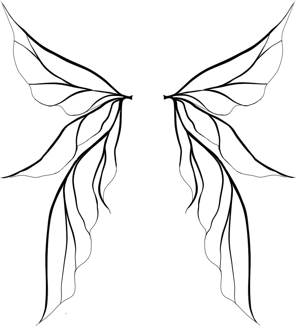 Fairy Wing Drawing Picture