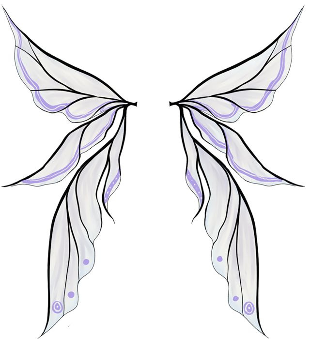 Fairy Wing Drawing Sketch