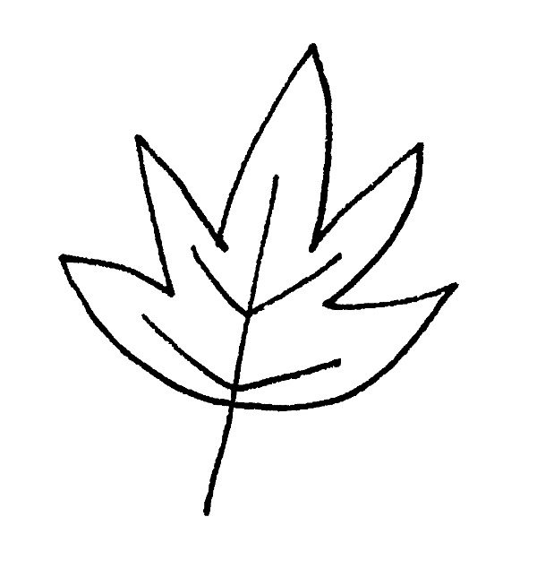 Fall Leaf Drawing Art