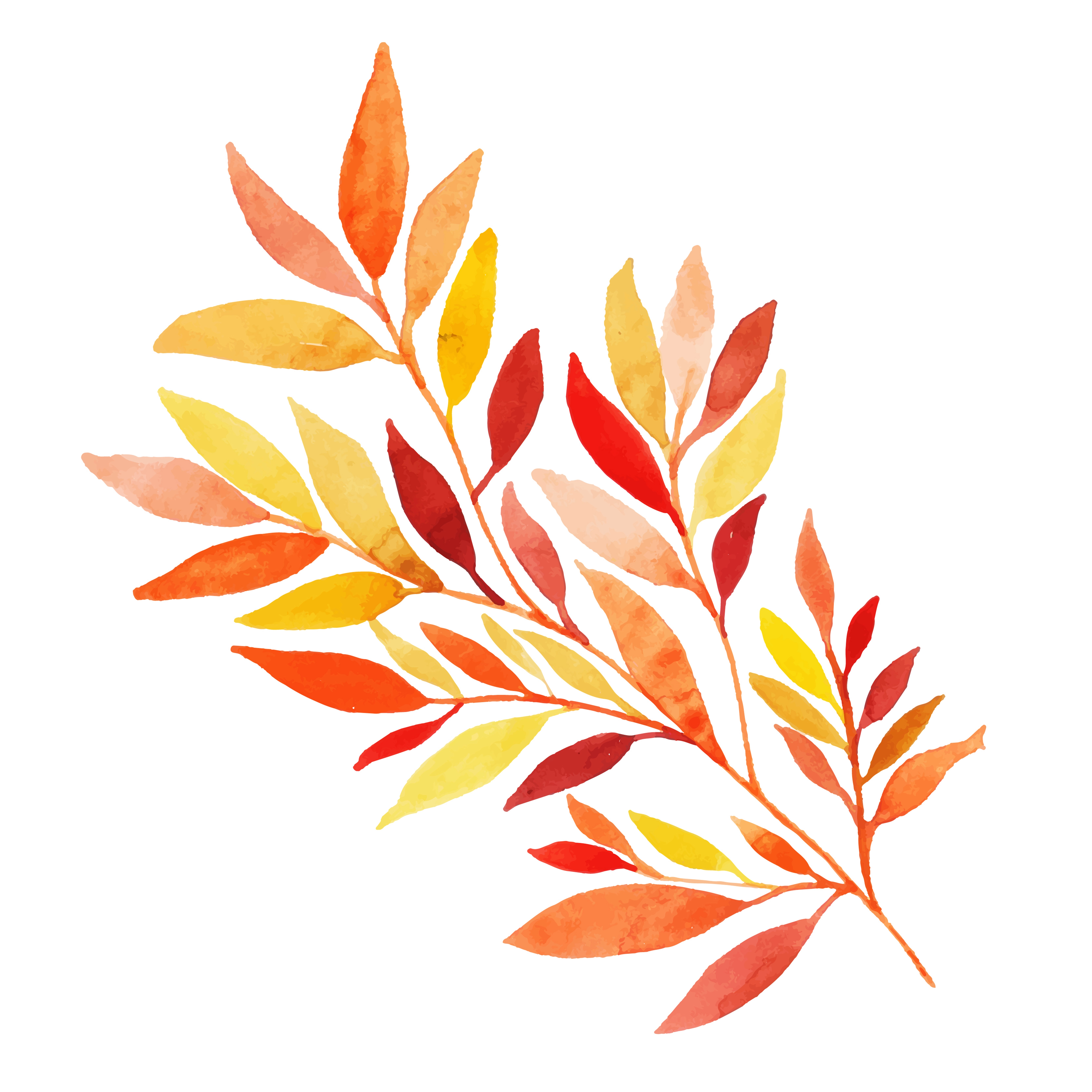 Fall Leaf Drawing