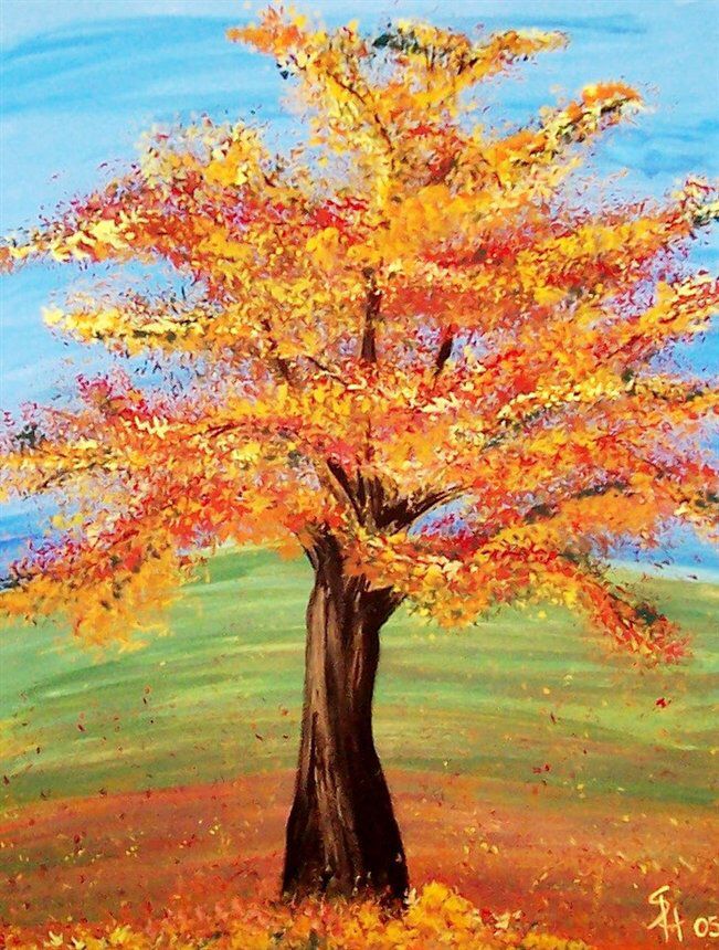 Fall Tree Drawing Photo