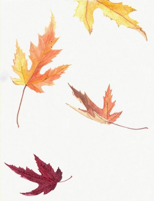 Falling Leaf Drawing Image