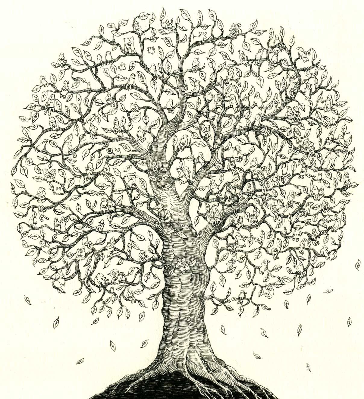 Family Tree Drawing Beautiful Image