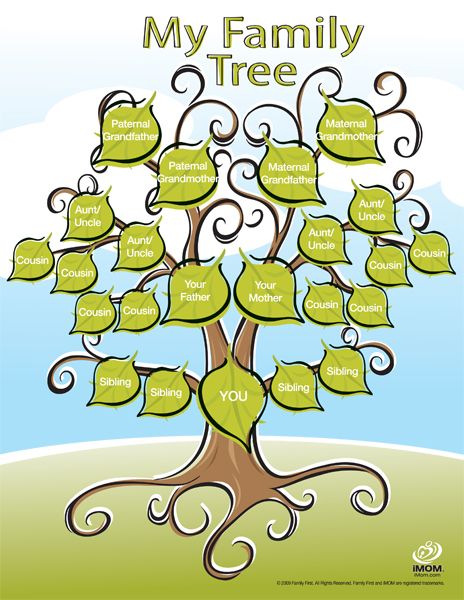 Family Tree Drawing Images