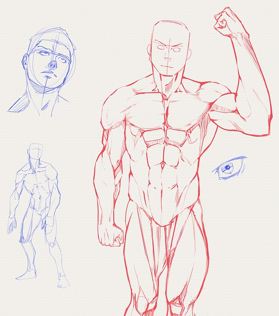 Human Body Drawing Men Art Muscle Pose Anatomy