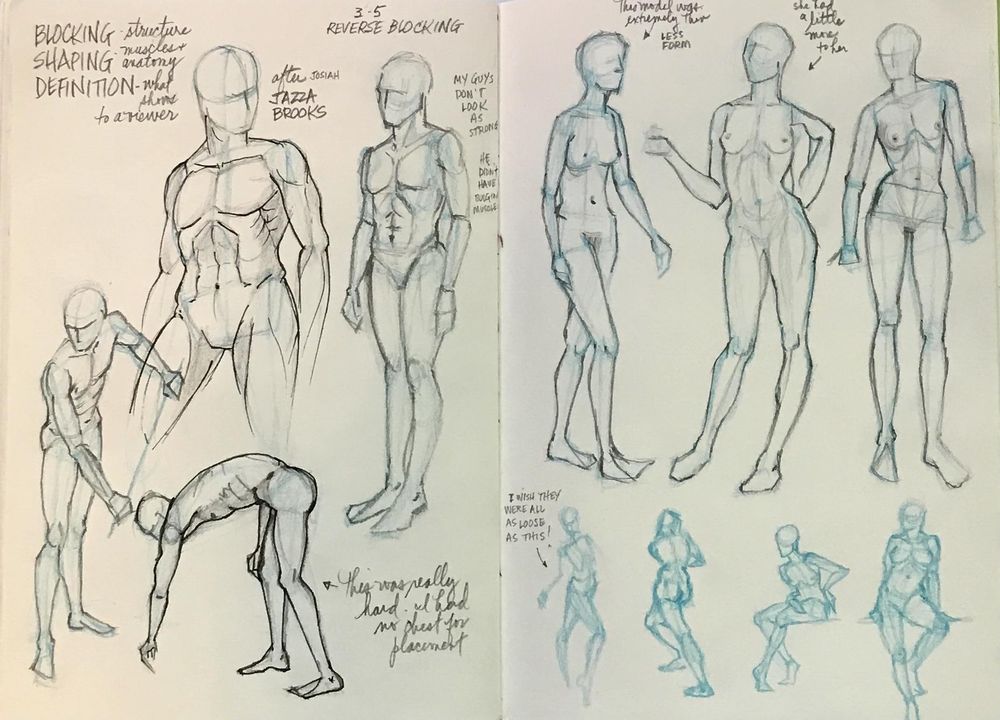 Anatomy Drawing Sketch