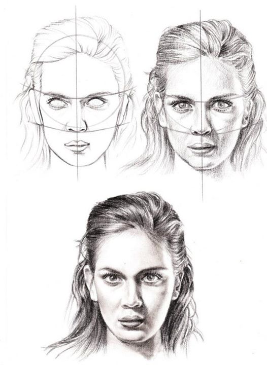 Anatomy Face Drawing Image