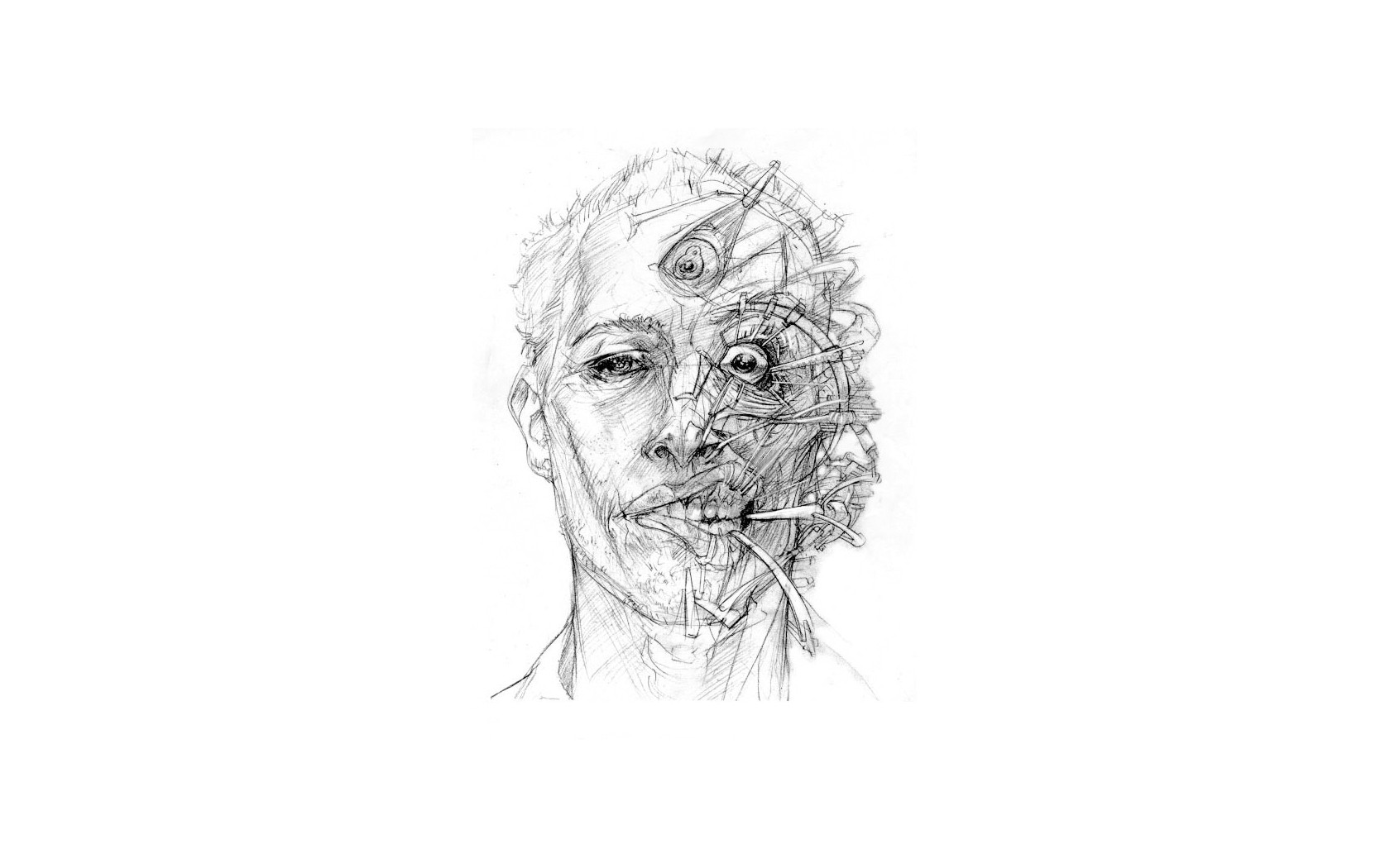 Anatomy Face Drawing Images