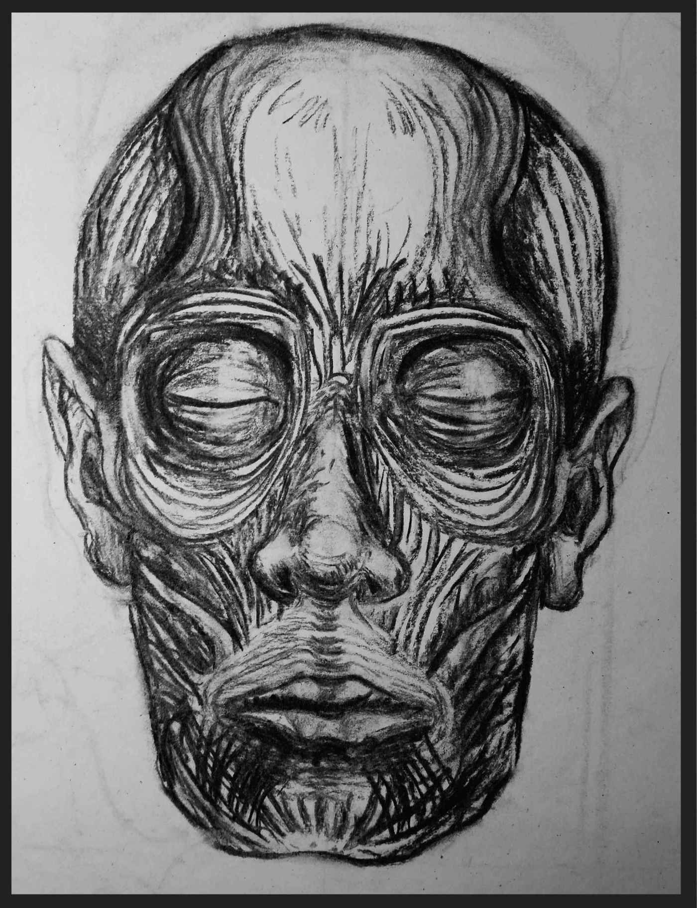 Anatomy Face Drawing Pictures