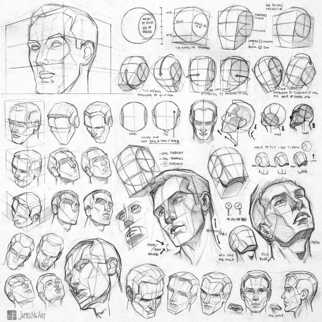 Anatomy Face Drawing Sketch