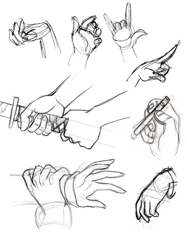 Anatomy Hand Best Drawing