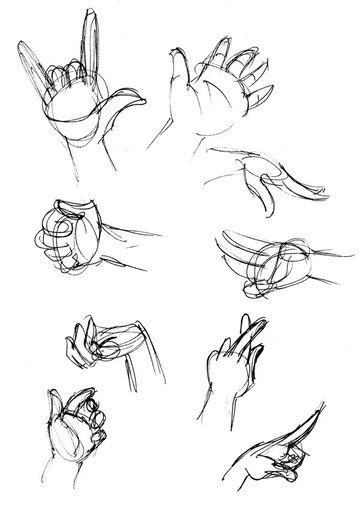 Anatomy Hand Drawing High-Quality