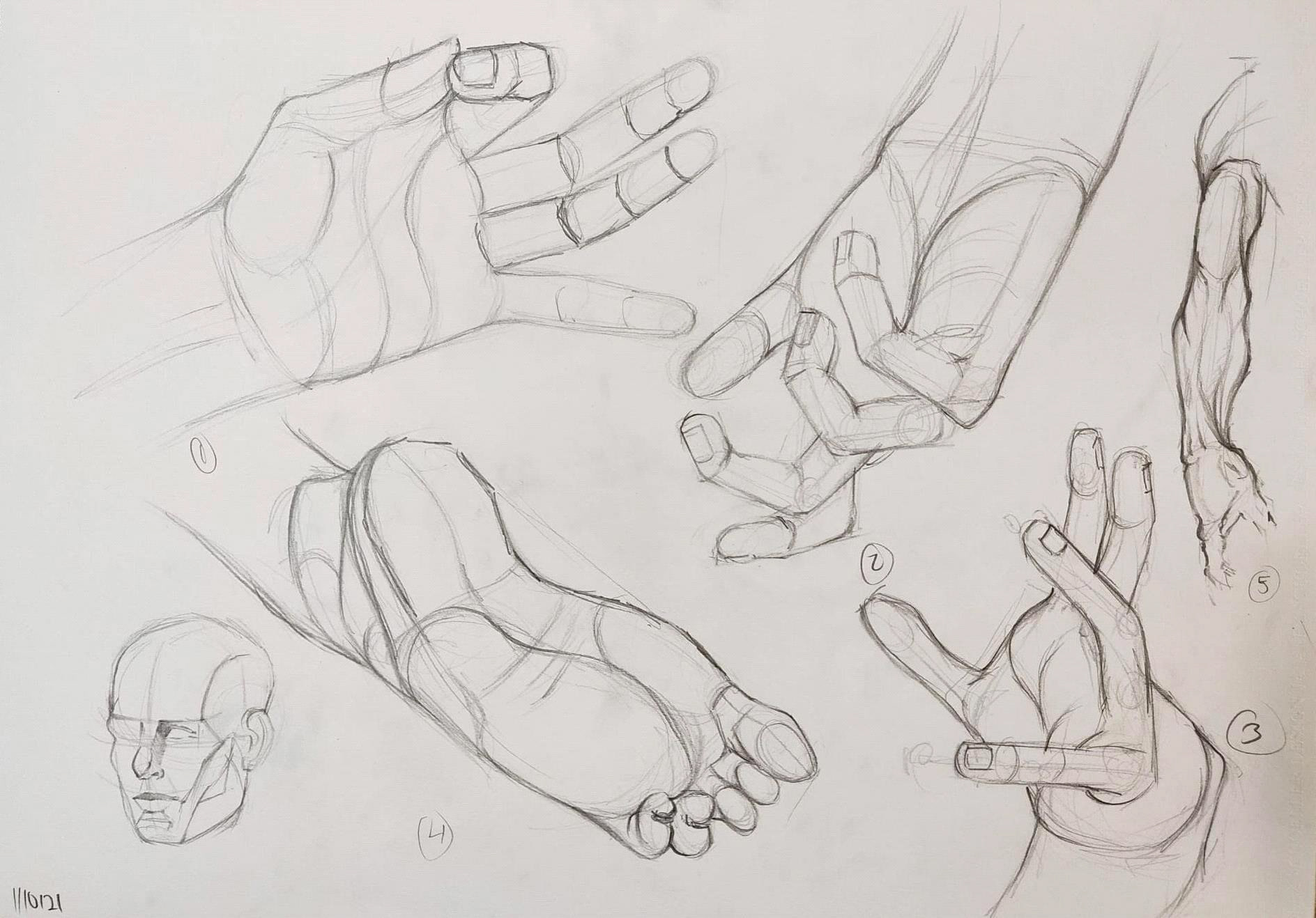 Anatomy Hand Drawing Image