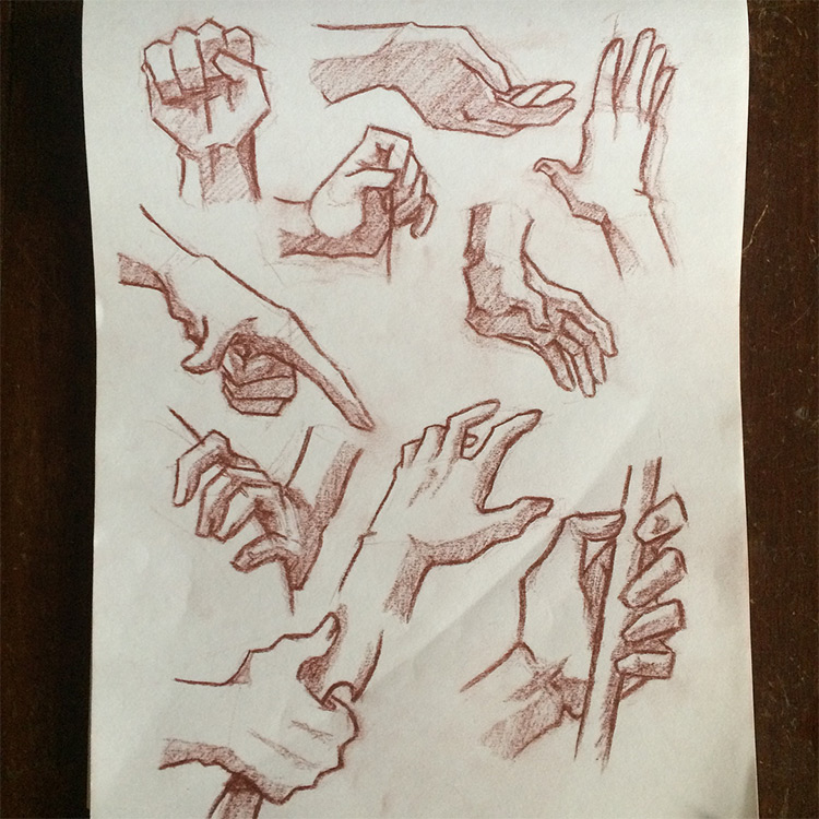 Anatomy Hand Drawing Images