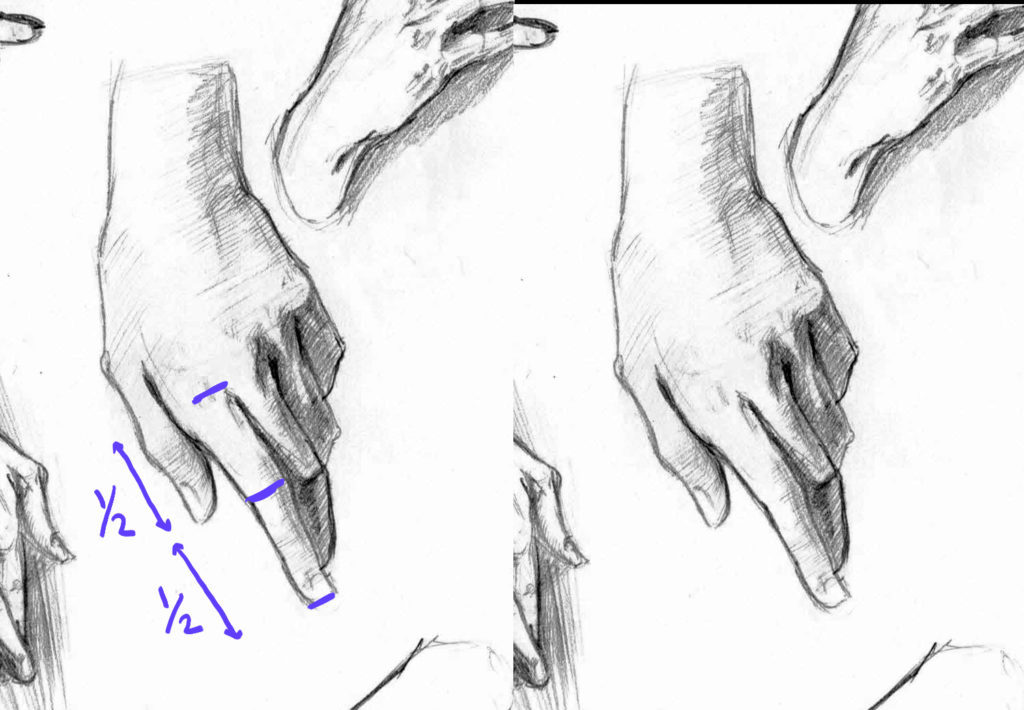 Anatomy Hand Drawing Photo