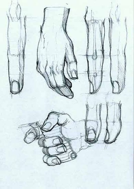 Anatomy Hand Drawing Pic