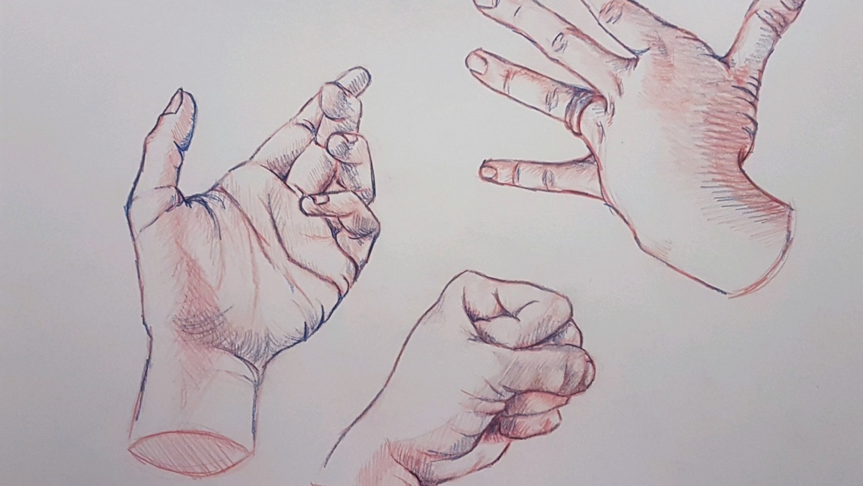 Anatomy Hand Drawing Realistic