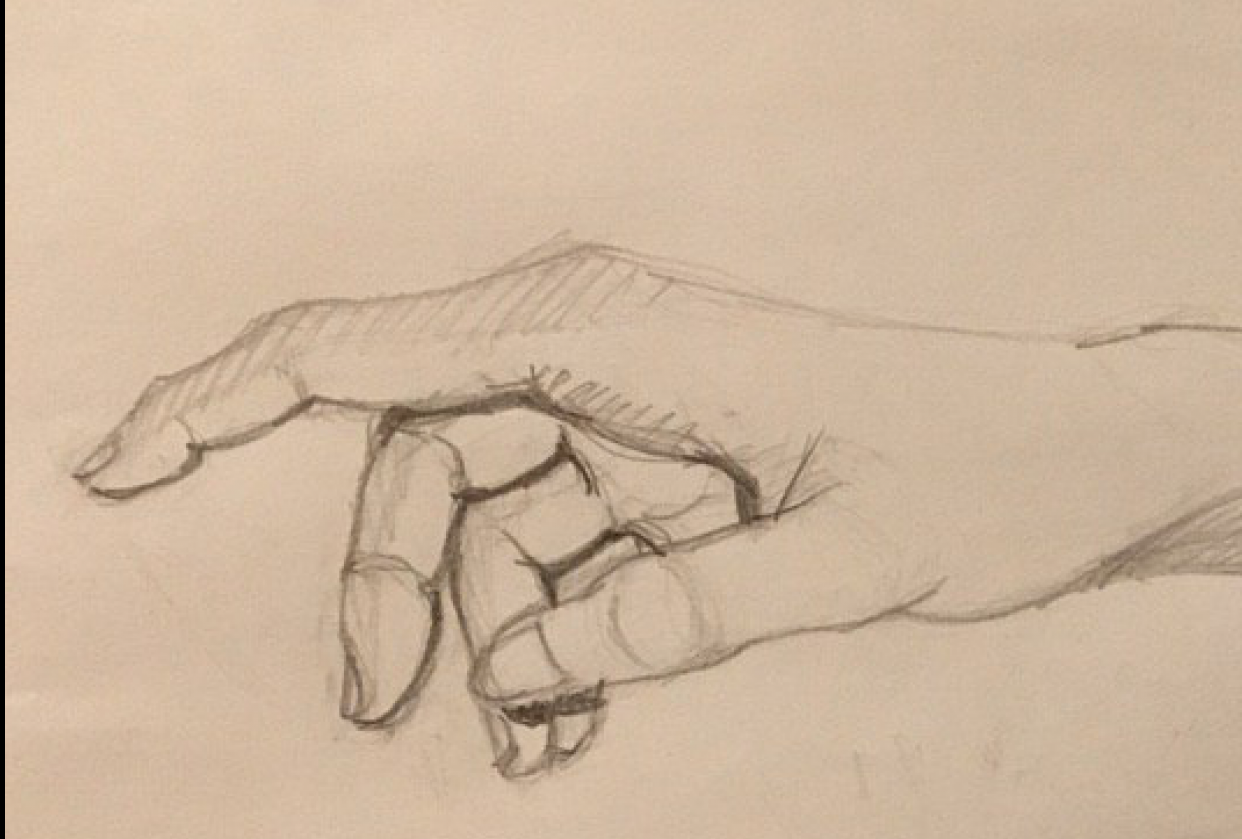 Anatomy Hand Drawing