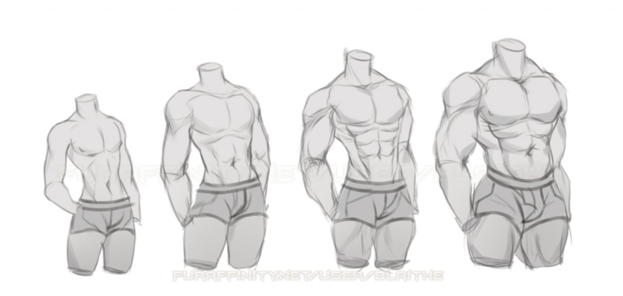 Anatomy Practice Drawing High-Quality
