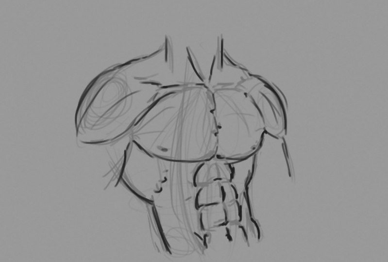 Anatomy Practice Drawing Pictures