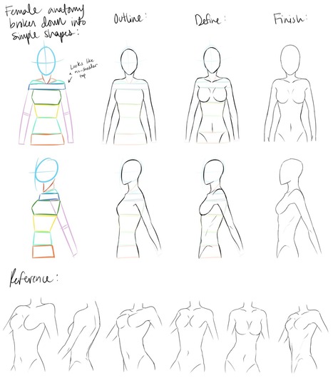 Anatomy Reference Drawing Images