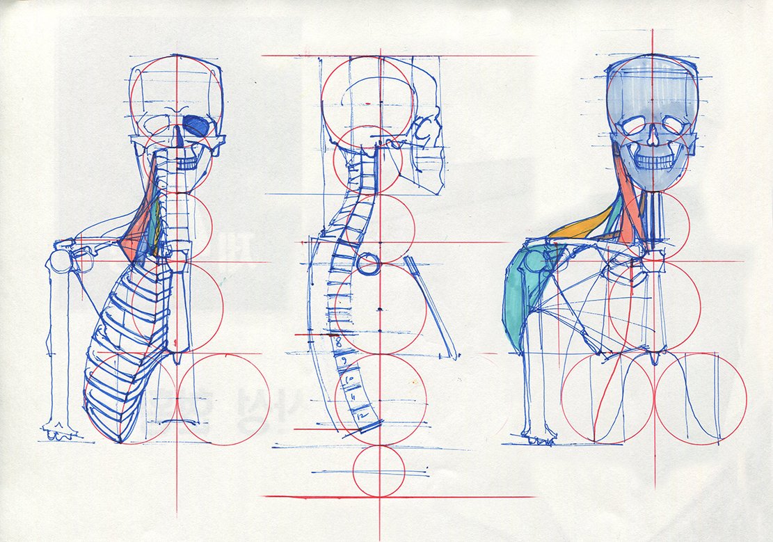 Anatomy Reference Drawing Realistic