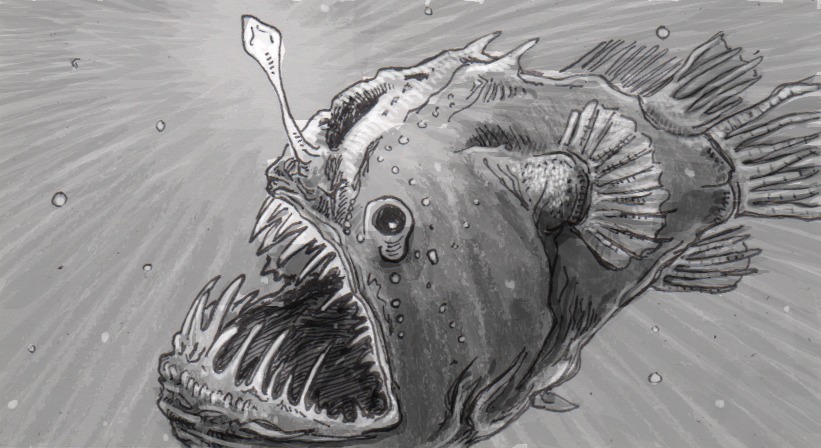 Angler Fish Drawing Art