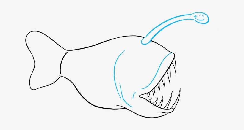 Angler Fish Drawing Beautiful Image