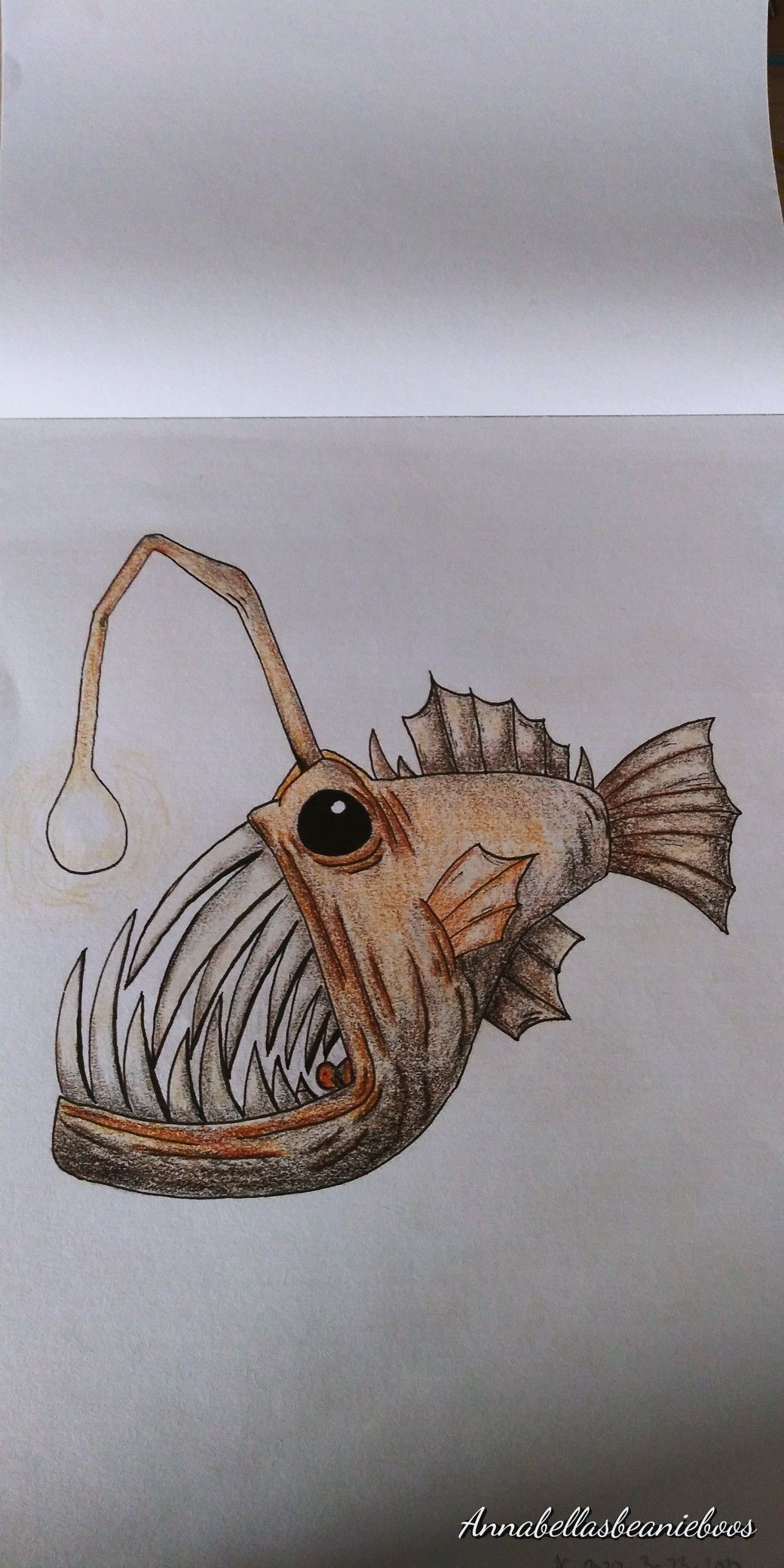 Angler Fish Drawing Picture