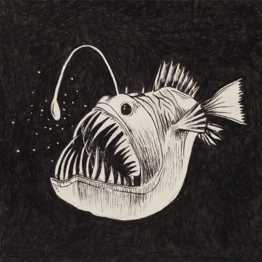 Angler Fish Drawing Sketch